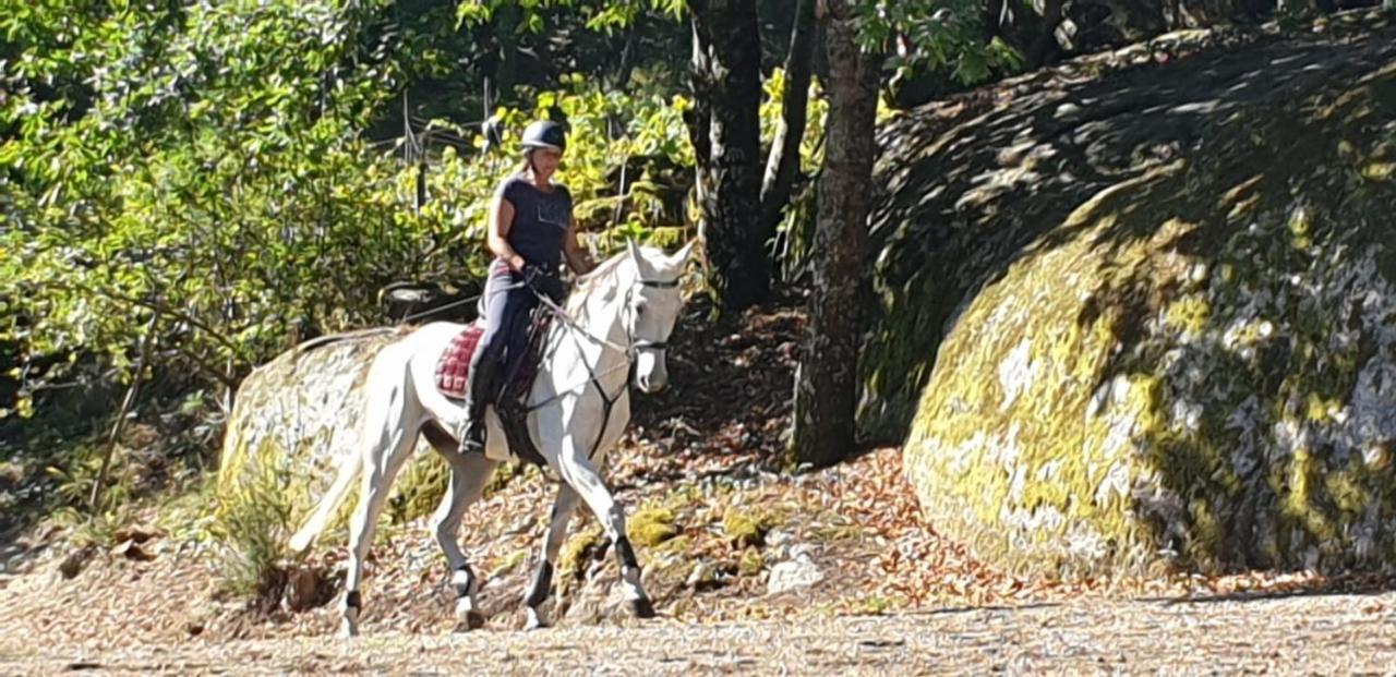 Quinta Da Quinta Lejlighed Vieira do Minho Eksteriør billede