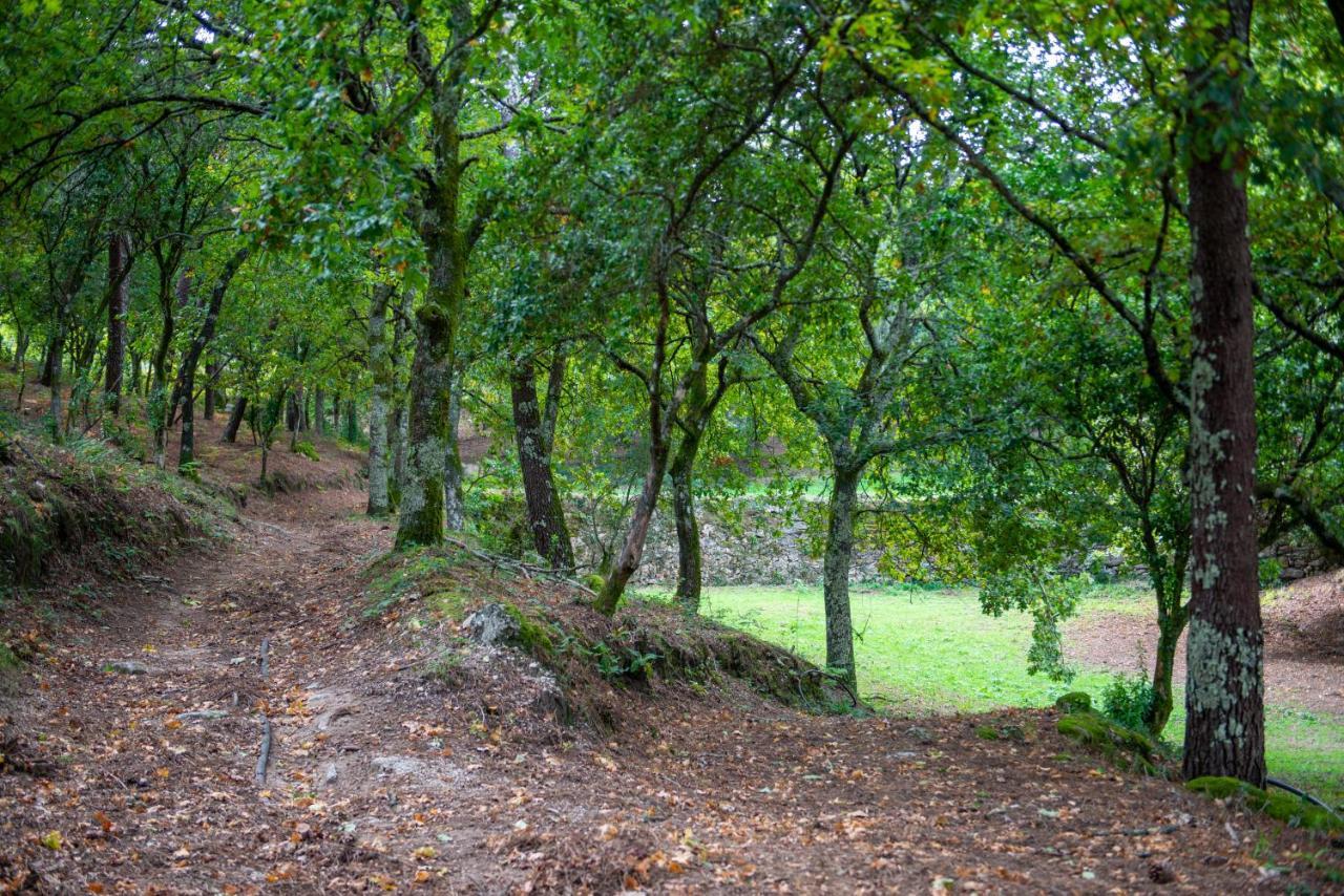 Quinta Da Quinta Lejlighed Vieira do Minho Eksteriør billede